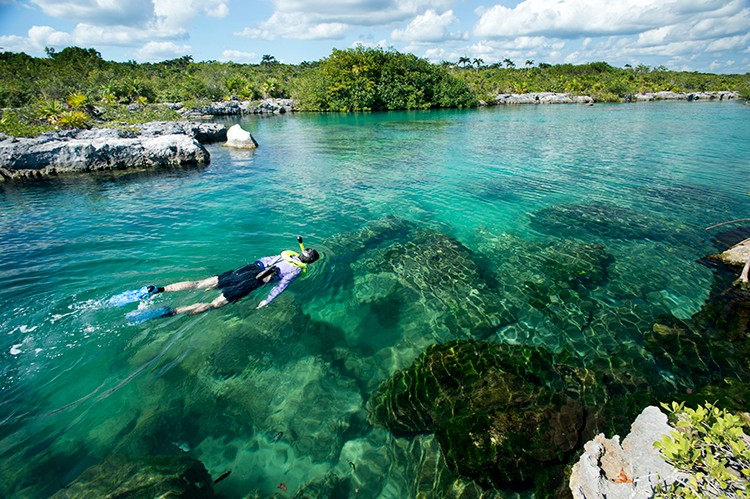 Carnival Mardi Gras Itineraries Staterooms Bookings
