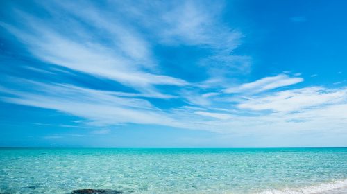 ocean cay marine reserve