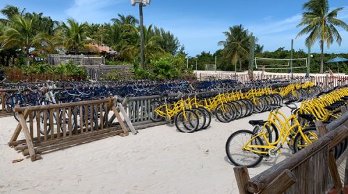 Bike Rental